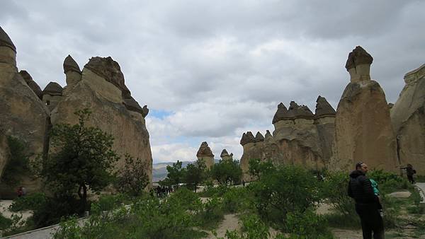 IMG_2566.JPG