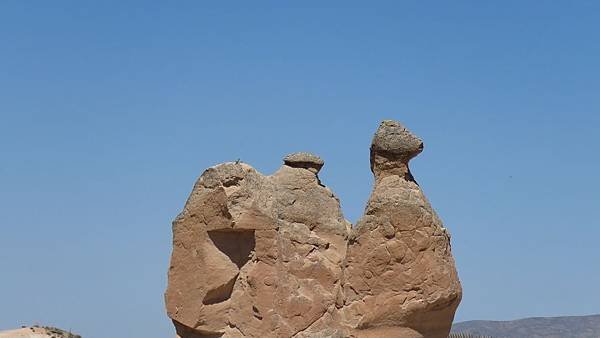 IMG_2631.JPG