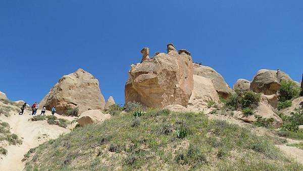 IMG_2647.JPG