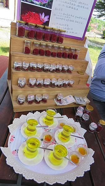 IMG_2896.JPG