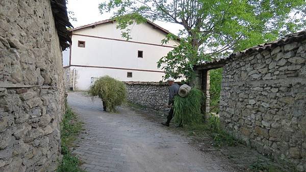 IMG_2996.JPG
