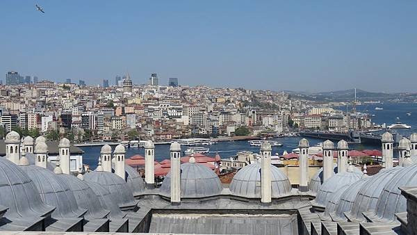 IMG_3181.JPG