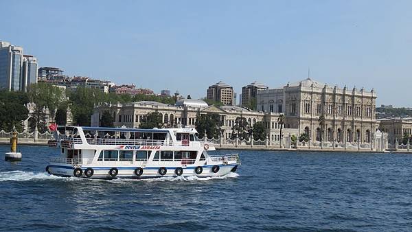 IMG_3245.JPG
