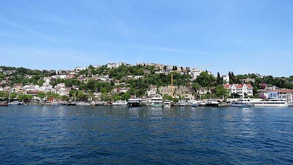 IMG_3270.JPG