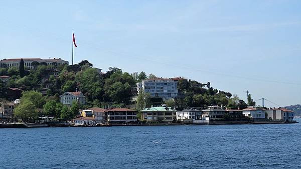 IMG_3300.JPG