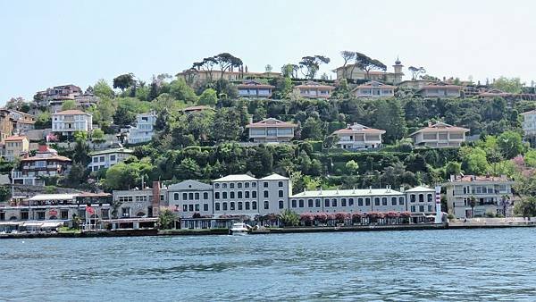 IMG_3311.JPG