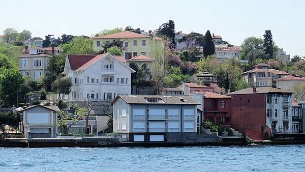 IMG_3320.JPG