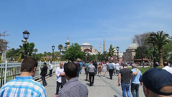 IMG_3353.JPG