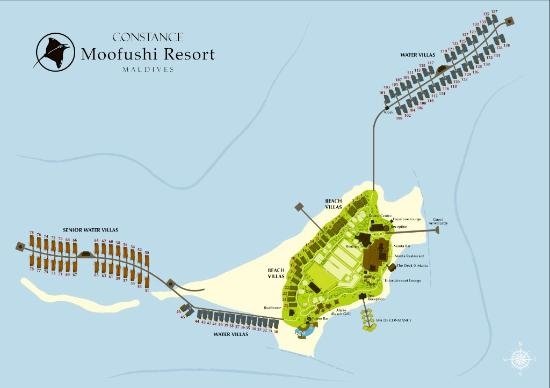 constance-moofushi