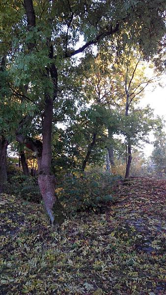 IMG_20151016_162605.jpg