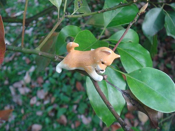 DSC08750.JPG