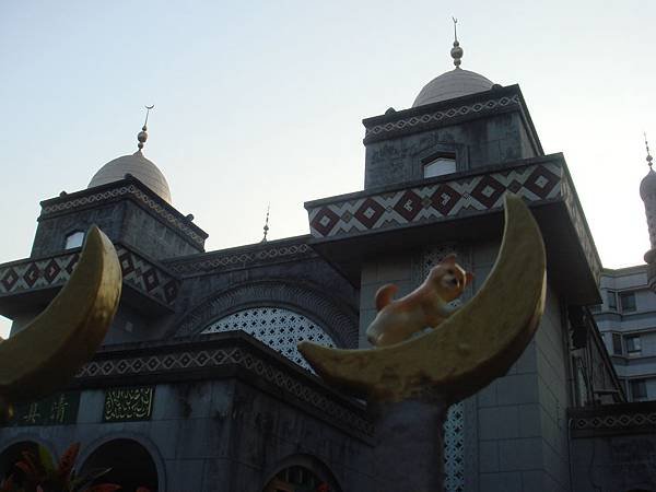 DSC08762.JPG