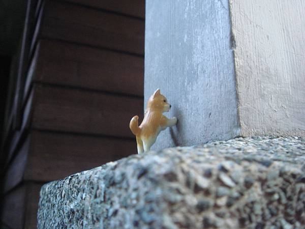 DSC08780.JPG