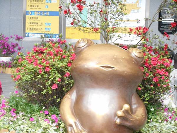 DSCN0634.JPG