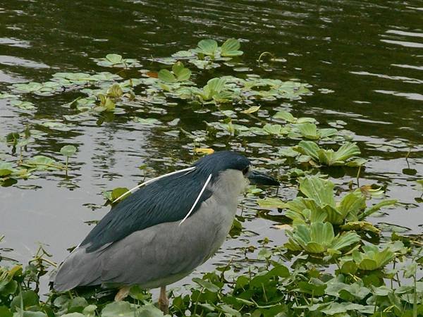 DSCN0680.JPG