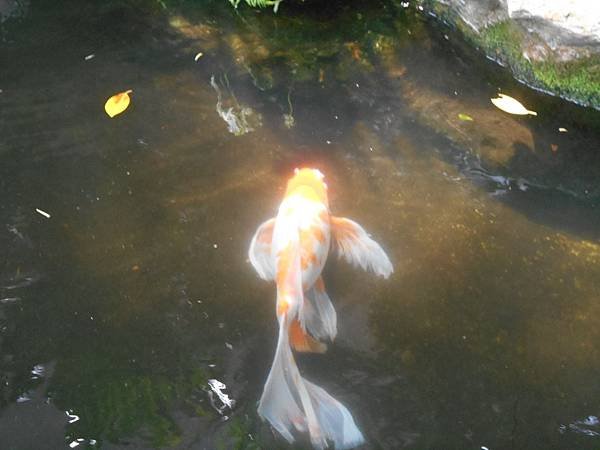 DSCN0824.JPG