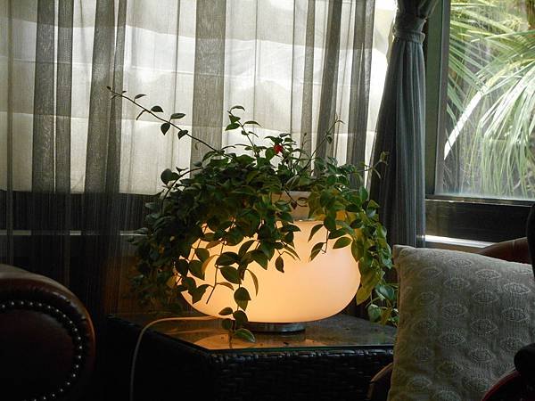 DSCN0861.JPG