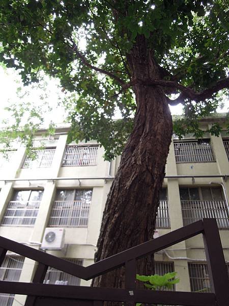 DSCN3183.JPG