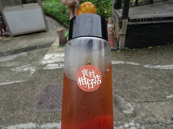 DSC09170.JPG
