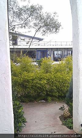 IMAG1783.jpg