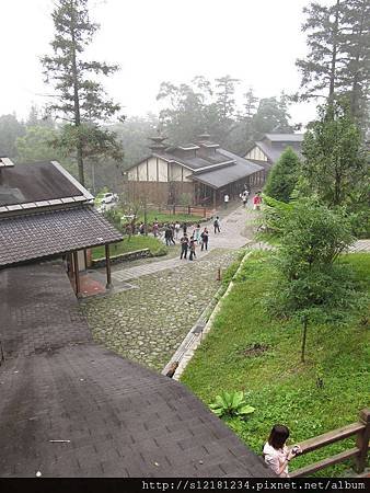 IMG_4365.jpg