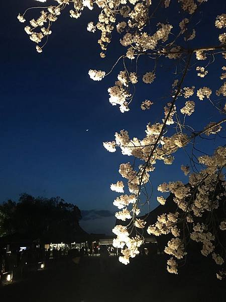 20190408_IMG_9385.JPG