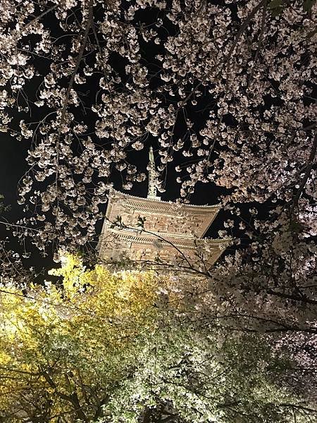 20190408_IMG_9404.JPG