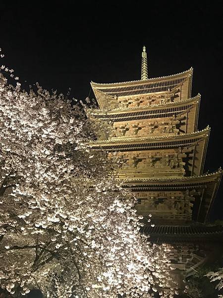 20190408_IMG_9406.JPG