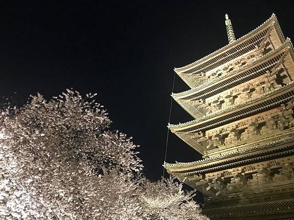 20190408_IMG_9407.JPG