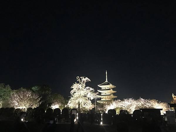 20190408_IMG_9412.JPG