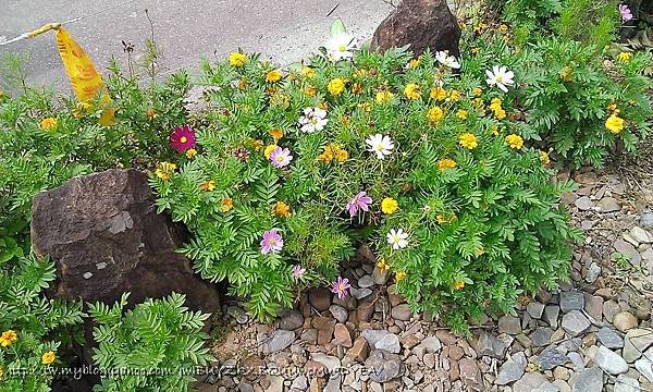 WP_20130505_032.jpg