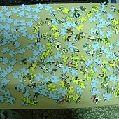 DSCN0024
