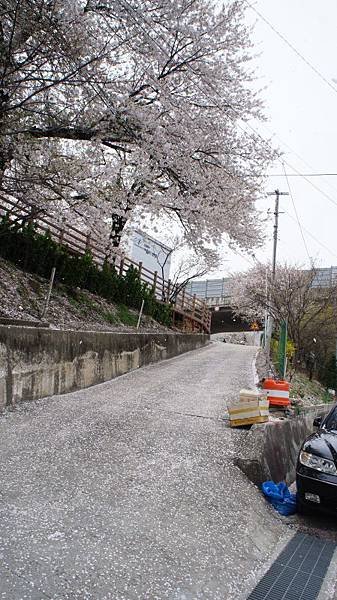 DSC07028.JPG