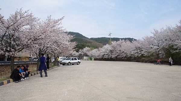 DSC07083.JPG