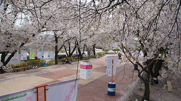 DSC07010.JPG