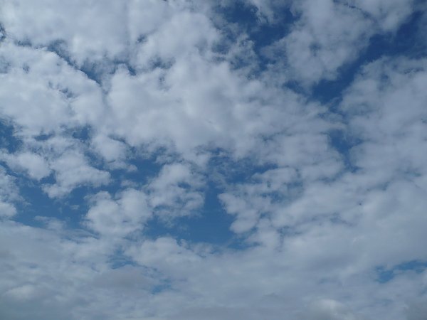 P1070033.JPG