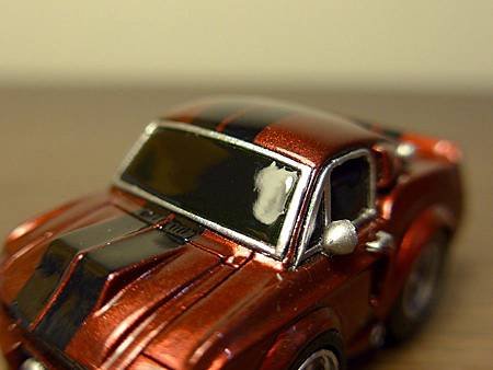P1000019.JPG