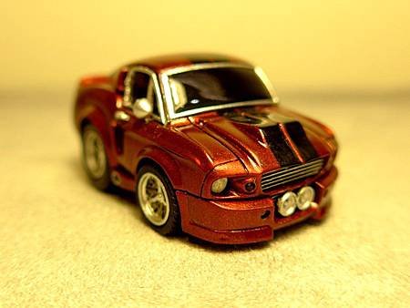 P1000101.JPG