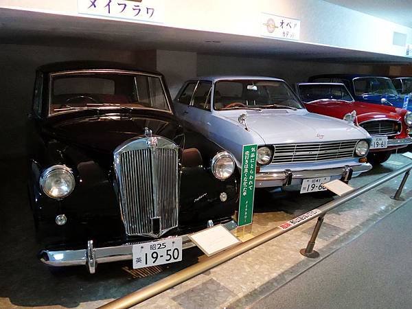 P1090253.jpg