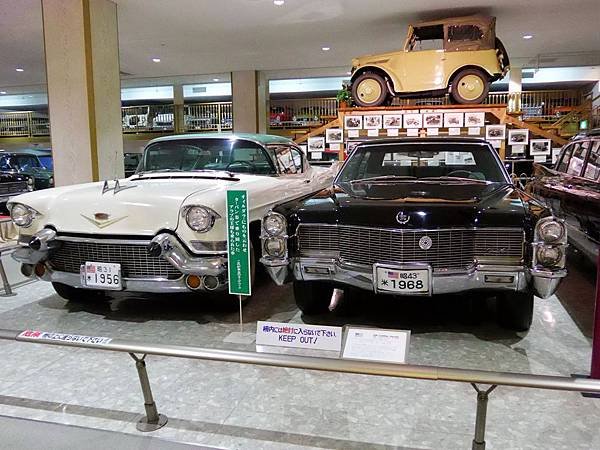 P1090360.jpg