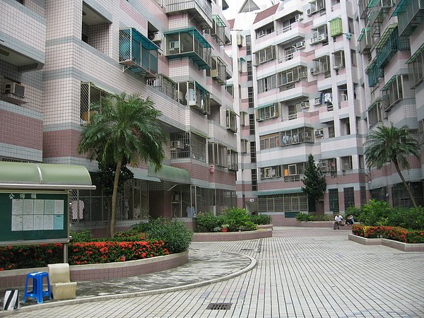 科技大學15.jpg