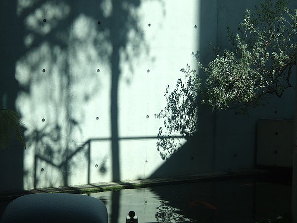 P2055470.JPG
