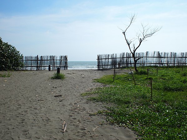 P9032133.JPG