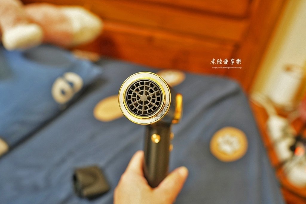 CHENG HONG 沙龍級專業負離子吹風機CHENG HO