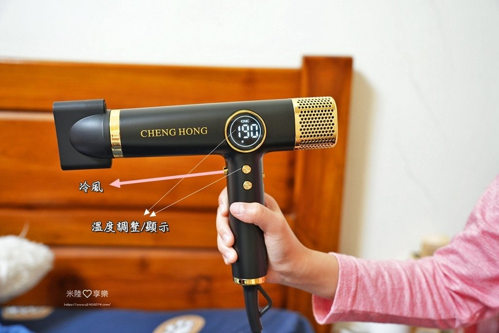 CHENG HONG 沙龍級專業負離子吹風機CHENG HO