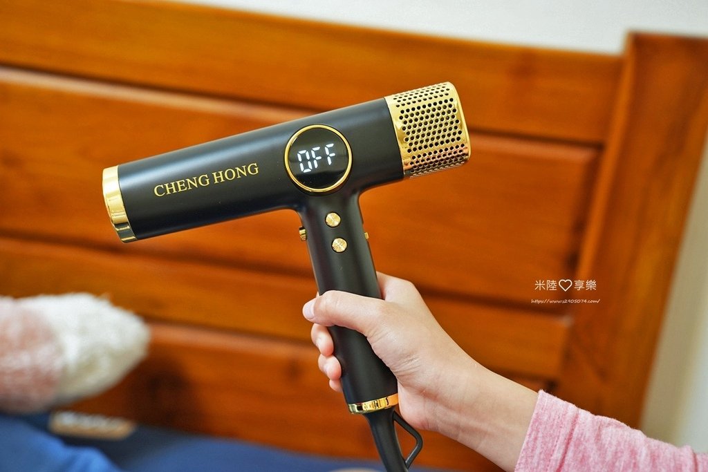 CHENG HONG 沙龍級專業負離子吹風機CHENG HO