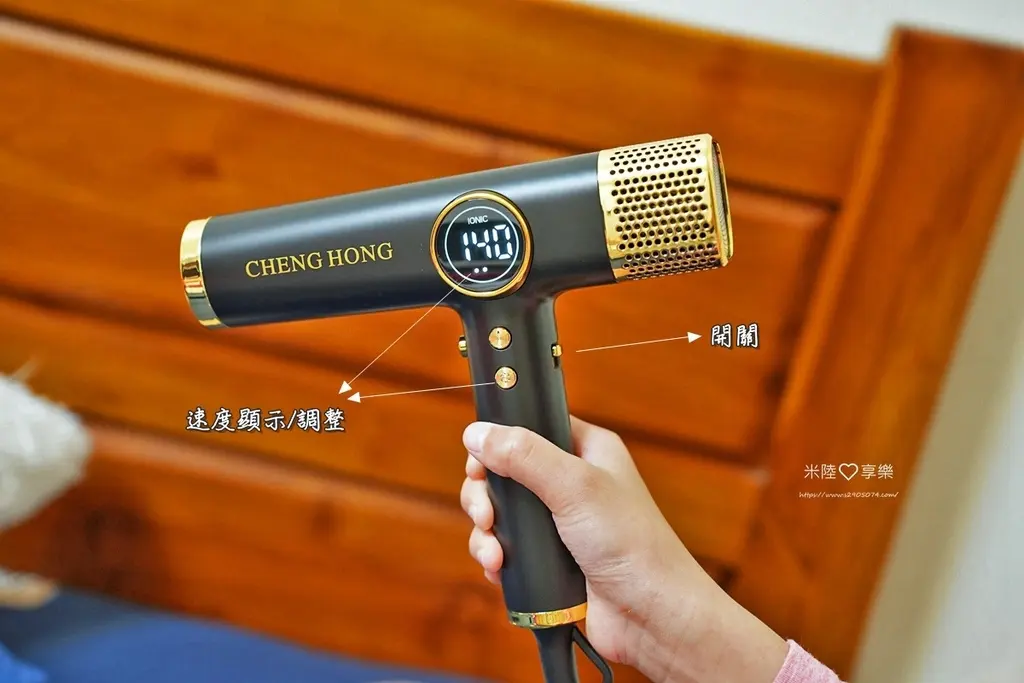 CHENG HONG 沙龍級專業負離子吹風機CHENG HO
