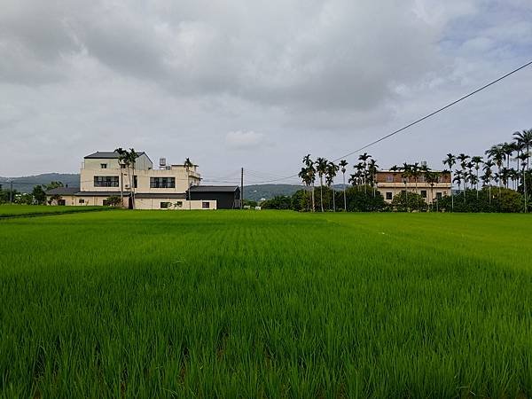 一、縱貫西部的鐵路（上）