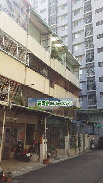 98779_conew1
