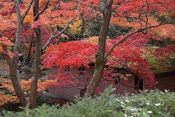 日本